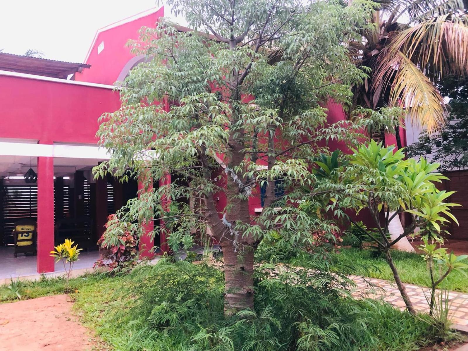 Bohobe Naboty Bed & Breakfast Toliara Eksteriør bilde
