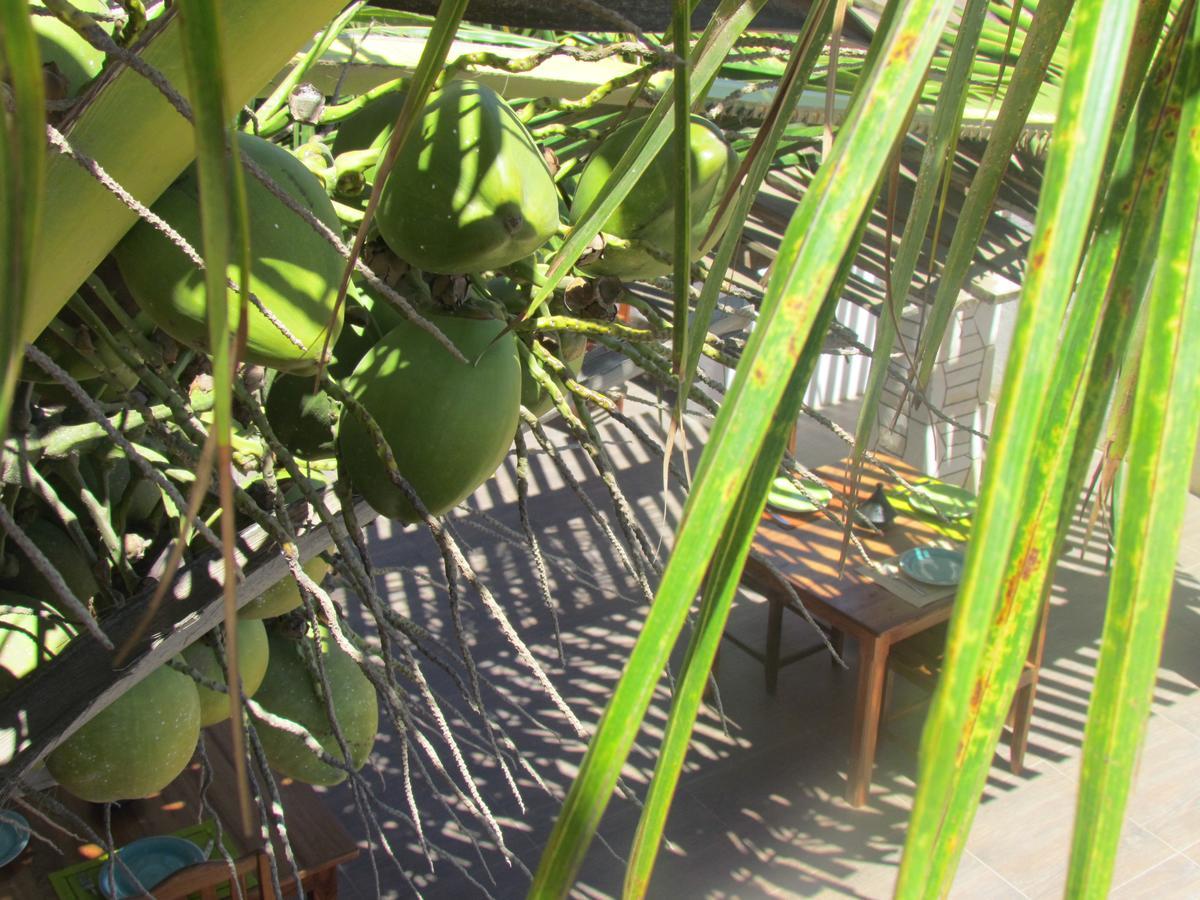 Bohobe Naboty Bed & Breakfast Toliara Eksteriør bilde
